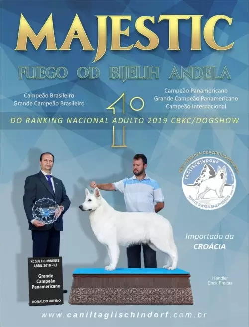 MAJESTIC FUEGO OD BIJELIHANDELA – BEST BR 2019 todos os rankings – imported from Croatia