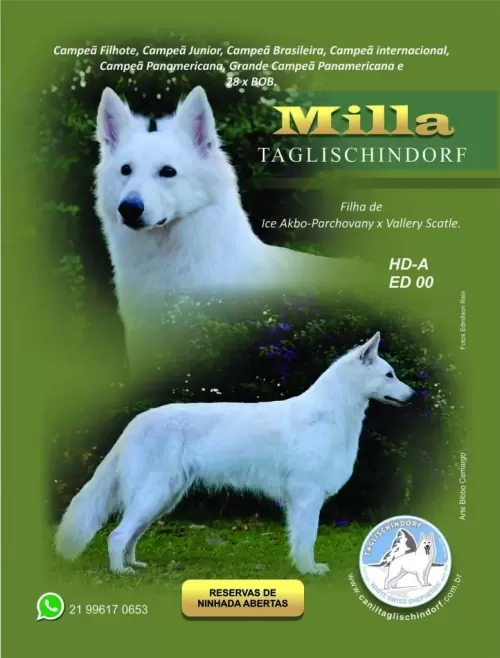 Multi Campeã MILLA TAGLISCHINDORF