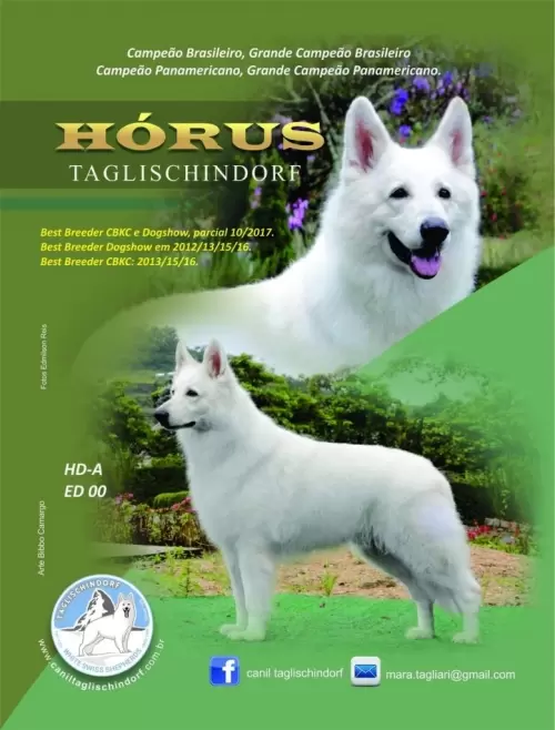 Revista Top Dog/Catalodog – Multi Campeão HORUS TAGLISCHINDORF