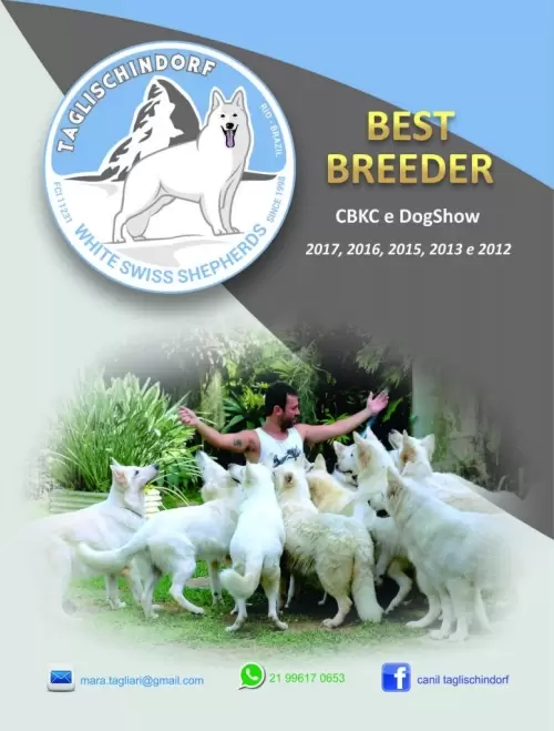 PAGINA 1/2 REVISTA CATALODOG/TOPDOG 2017/2018