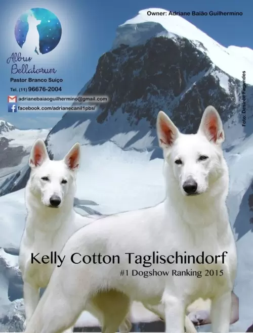 KELLY COTTON TAGLISCHINDORF – Fêmea #1 do Brasil en 2015