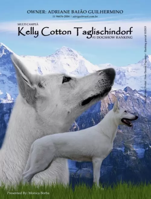 Multi Campeã Kelly Cotton Taglischindorf em edição de revista cinofila em 2016