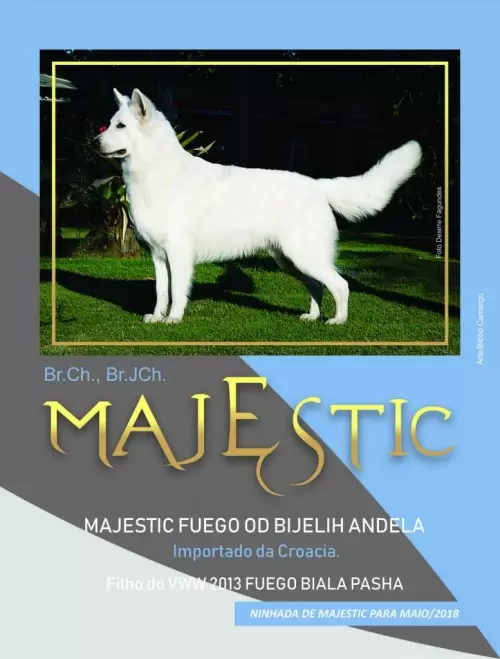 MAJESTIC FuEGO OD BIJELIH ANDELA em edição de revista de cinofilia em 2017