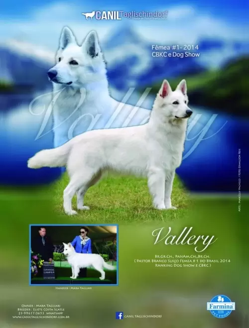 VALLERY EM PUBLICAÇÃI NA REVISTA CATALODOF/TOPDOG 2014