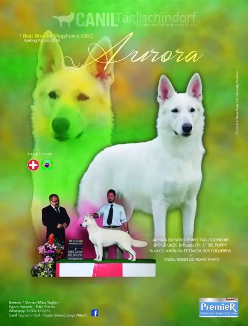  AURORA TAGLISCHINDORF EM PUBLICAÇÃO NA EVISTA CATALODOG/TOPDOG