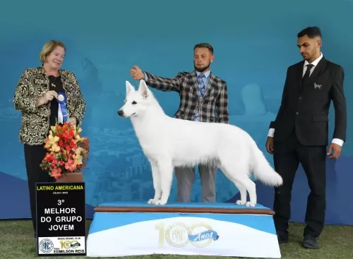 Ocean White Von Taglischindorf (Saint Francis’s Bobby/Schaffer x Emilly Scatle Taglischindorf)